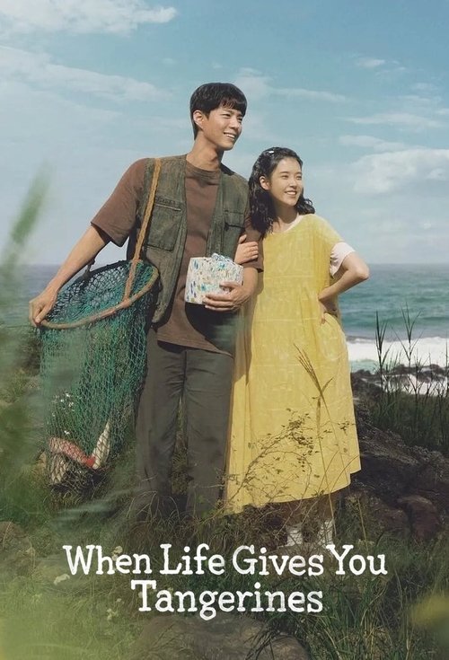 苦尽柑来遇见你 海报