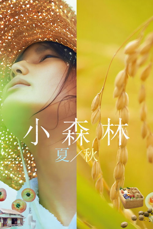 小森林:夏秋篇 海报