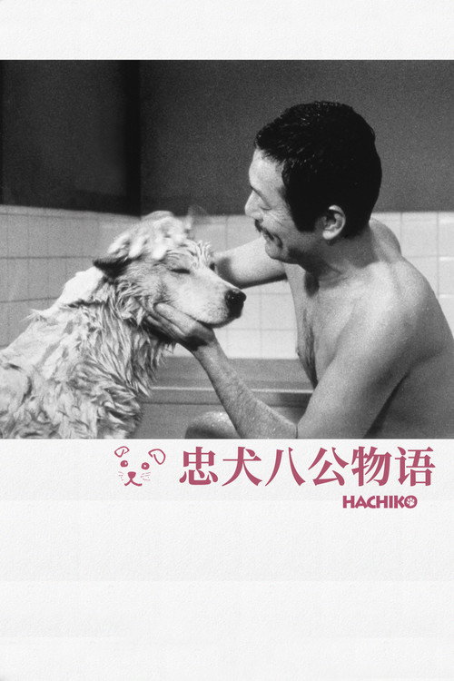 忠犬八公物语 海报