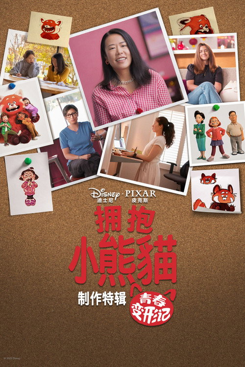 拥抱小熊猫:青春变形记背后的故事 海报